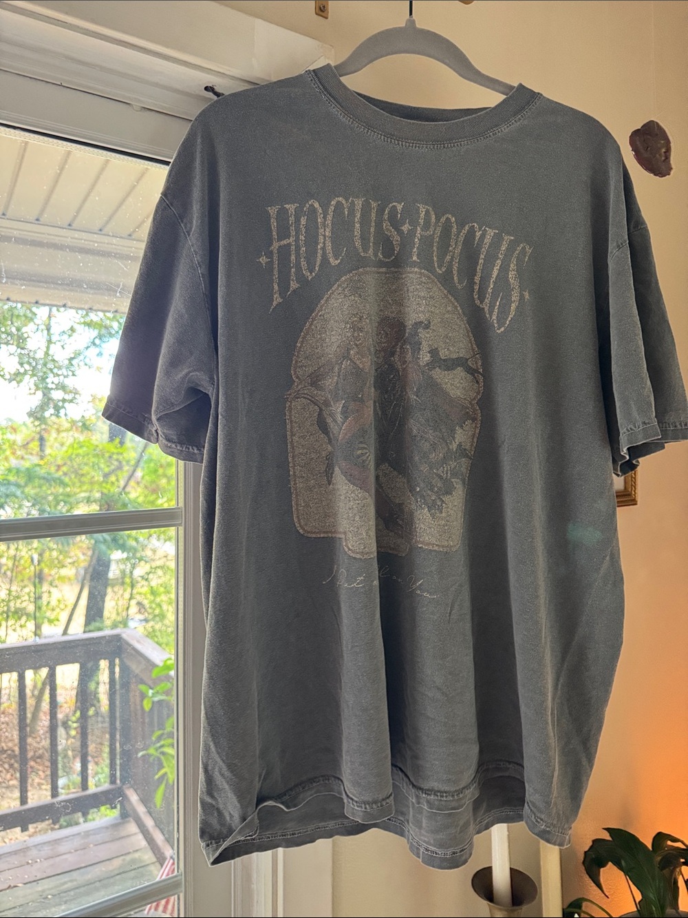 Hocus Pocus Graphic Short-Sleeve Tee - Gray